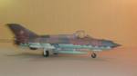MiG-21 DDR (04).JPG

65,38 KB 
1024 x 576 
12.05.2019

